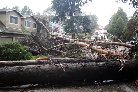 Heavy weather tramples county - The Pajaronian | Watsonville, CA