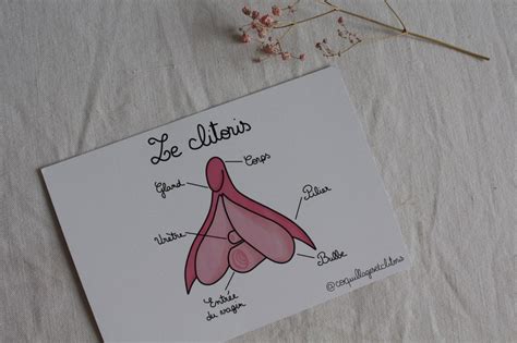 Anatomy Of The Clitoris Sex Education Scheme Postcard Etsy Denmark