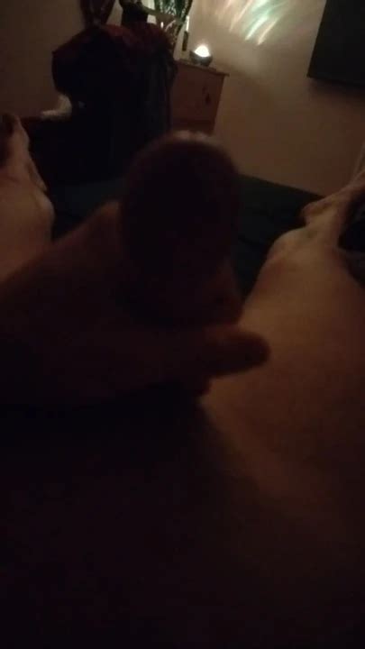 Midnight Fun British Gay Handjob Handjob Porn Xhamster