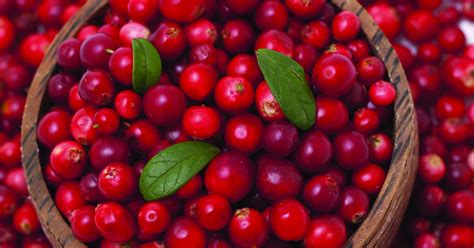 Your guide to Wisconsin Rapids’ 10th annual Cranberry Blossom Festival