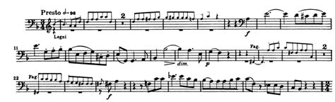 Mastering the Top 10 Double Bass Orchestral Excerpts: Essential Tips and Techniques - Double Bass HQ