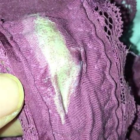 Dirty Wet Panties Of My Wife Free Free Mobile Hd Porn B Xhamster