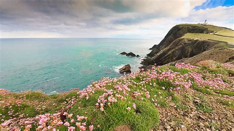 The Shetland Islands Of Scotland - WorldAtlas