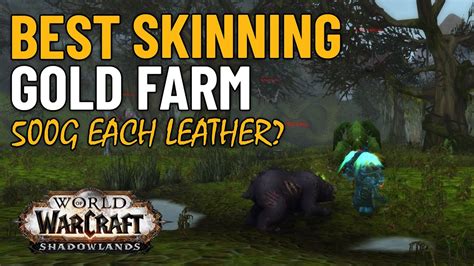 This Skinning Farm Makes So MUCH Gold In World Of Warcraft Gold Farm