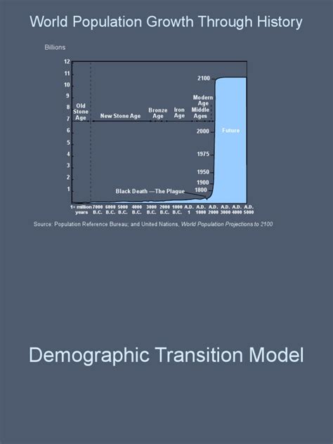 Demographic Transition Model | PDF