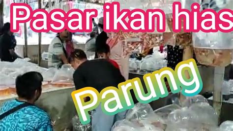 Suasana Grosir Ikan Hias Parung YouTube