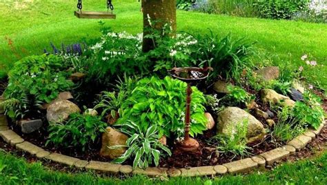 Красивое оформление приствольных кругов: идеи