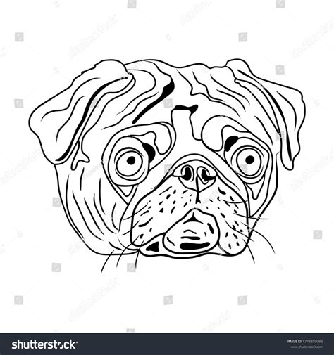 Dog Breed Flat Face Pug Eps10 Stock Vector (Royalty Free) 1778859083