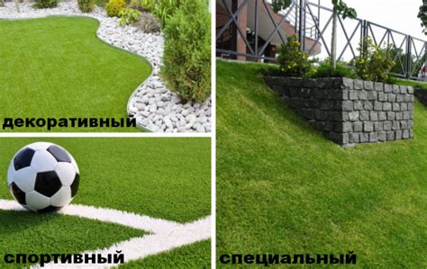 Що таке газон: його визначення і поняття, чи може самостійно ...