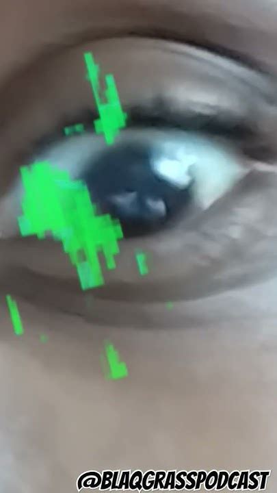The Eye Trap Youtube