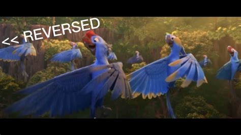 Rio 2 Reversed Beautiful Creatures YouTube