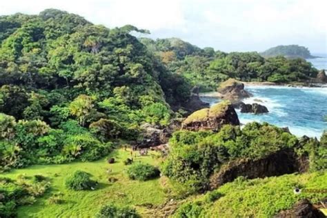 Tempat Wisata Populer Di Kawasan Taman Nasional Ujung Kulon Klik