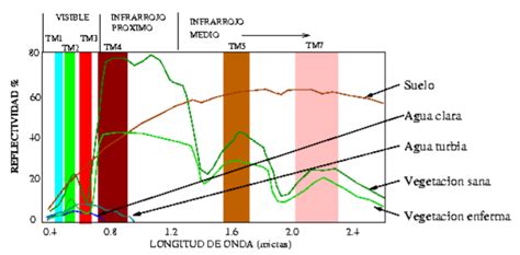 Ejemplos De Firmas Espectrales De Diferentes Materiales Fuente