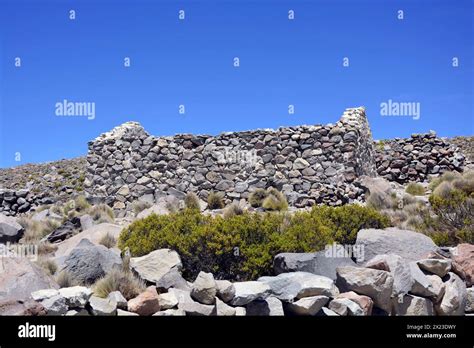 Chile Northern Chile Arica Y Parinacota Region Lauca National Park