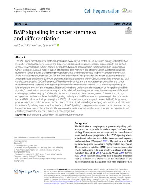 PDF BMP Signaling In Cancer Stemness And Differentiation