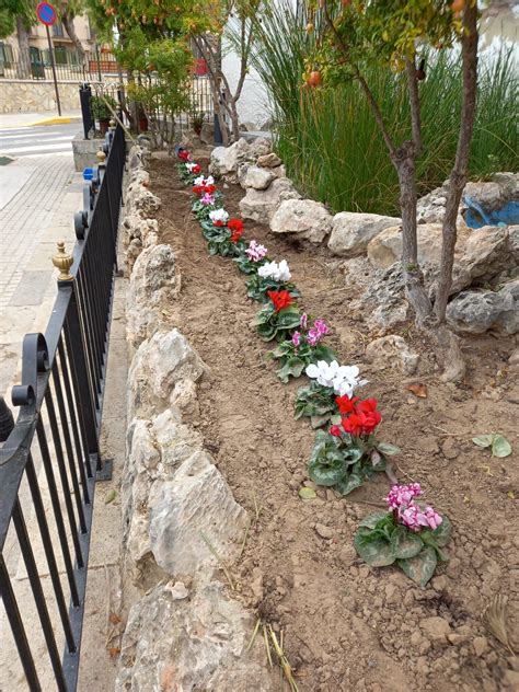 Mejoras de los espacios públicos de la localidad | San Antonio de Benagéber
