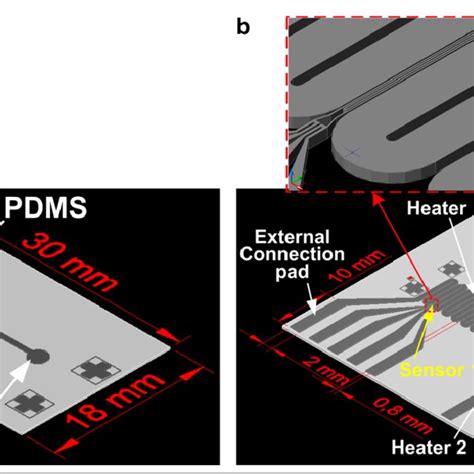 Schematic Diagrams Of The Sperm Sorting Microfluidic Device A