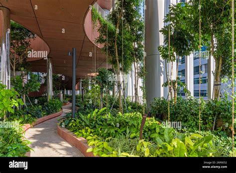 biophilic design green roof  res stock photography  images alamy