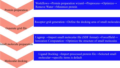 Molecular docking procedure. | Download Scientific Diagram