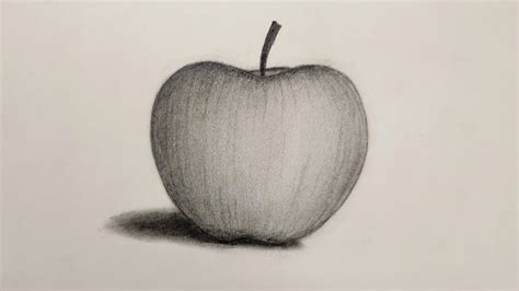 How To Draw Realistic Apple With Pencils Easy Tutorial For Beginners Grow Your Shading Skils