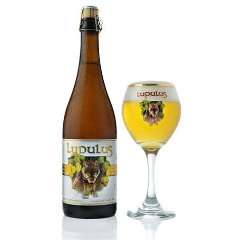 Lupulus Blonde Magnum OW cl per Goût Goe Good