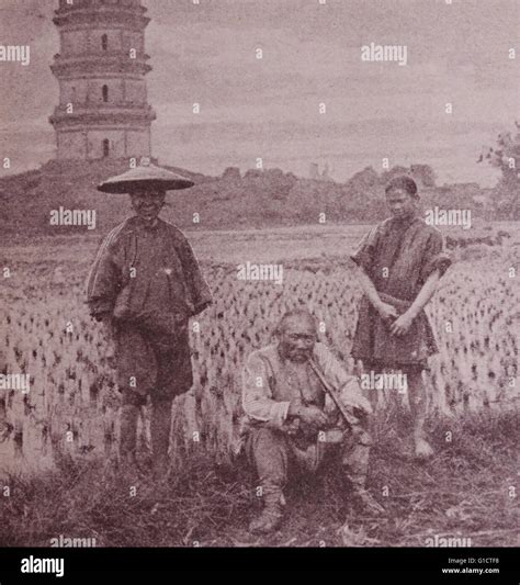 Chinese Peasants