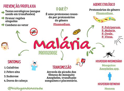 Mapa Mental Sobre MalÁria Maps4study