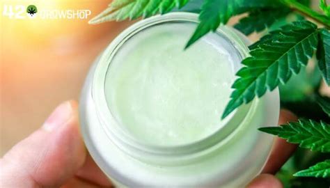 Cu L Es La Mejor Crema Cbd Antiinflamatoria