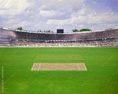 A cricket pitch direct top view of the layout with the grass cricket ...
