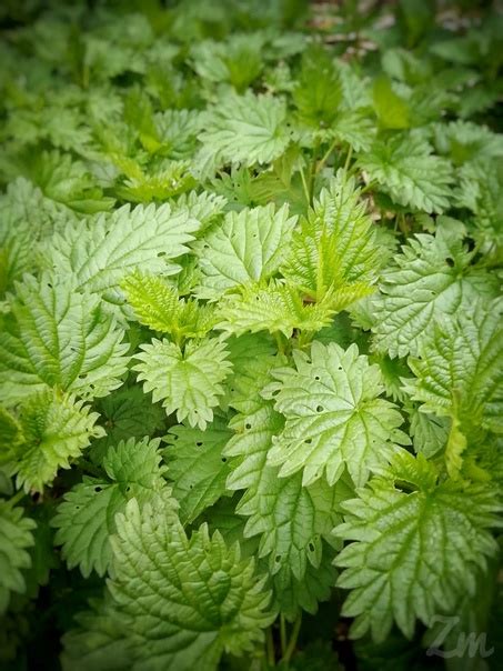 Привет, Ижевск! Отличного вторника и хорошего настроения! # ...