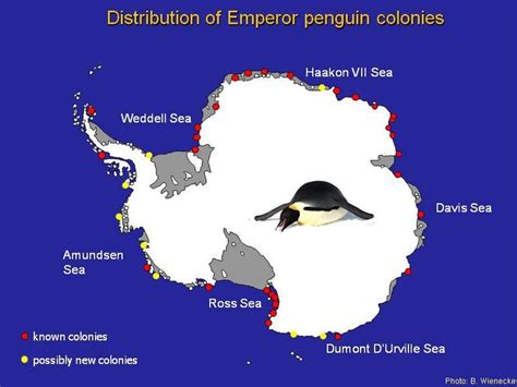 Finding emperor penguin colonies — Australian Antarctic Program