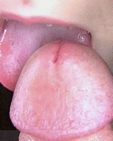 Erotic Gifs Kcxxx Sex Gifs Porn XXX GIFs PICTOA