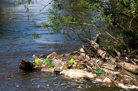 Resultado De Imagem Para Causa Da Contaminação Do Meio Ambiente Meio