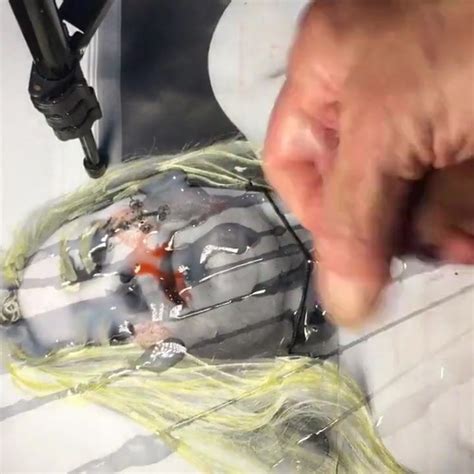 The Fabulous Johanna Second Step Free Hd Videos Hd Porn Xhamster