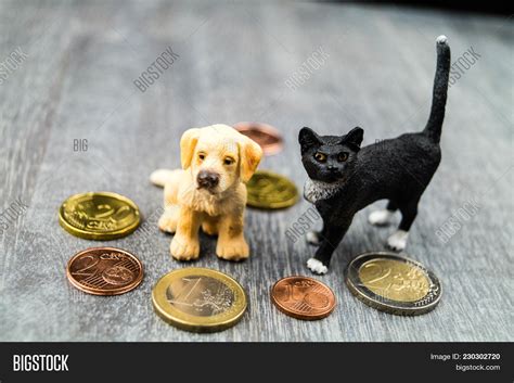 Costs Pet Veterinarian Image & Photo (Free Trial) | Bigstock
