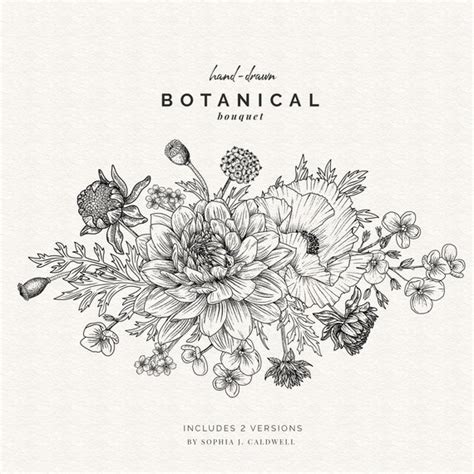 Vintage Flower Illustration Black And White