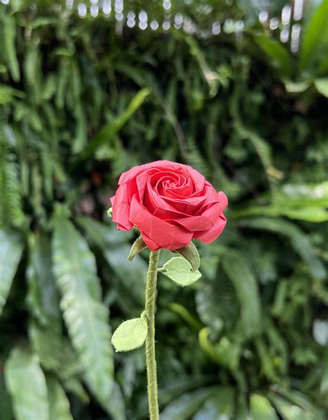 Naomiki Sato S Origami Roses Create Lifelike Rose 6