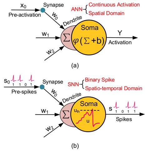 脉冲神经网络 Spiking Neural Network 解读 一 知乎