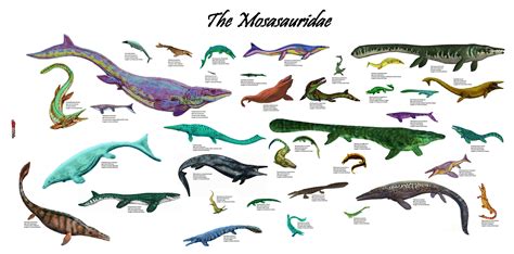 Great Reptiles Of The Sea Series 1 The Mosasauridae Every Mosasaur Discovered To Date 1