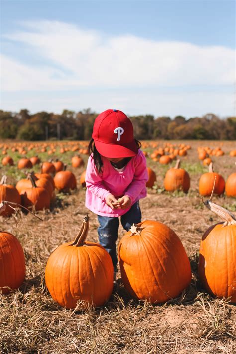 Annual Pumpkin Picking Trip // Pumpkin Crafts - Ann Le Do