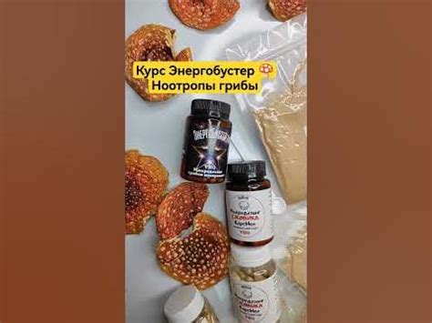 Курс Энергобустер 🍄Ноотропы грибы #мухомор #микродозинг # ...