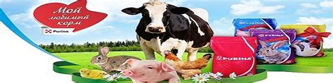 Корма PURINA для продуктивных животных г. Клин | Компания "Экокорм ...