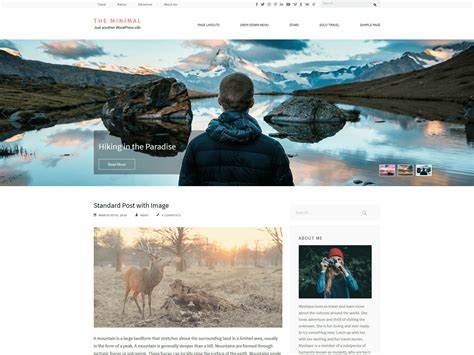 The Minimal – WordPress theme | WordPress.org