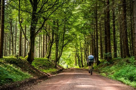 Der Rennsteig im Thüringer Wald | Ferienhaus Lichtung