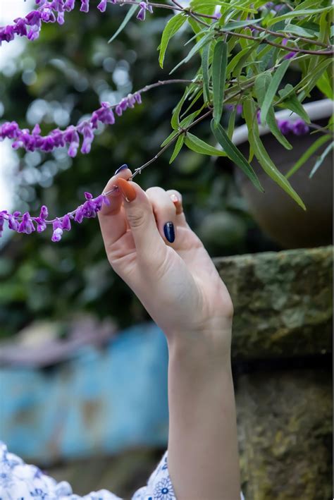 鈴木真夕松本菜奈実 THE 和 THE JAPANESE STYLE NUDE PHOTO BOOK ヌードBEST Everia club