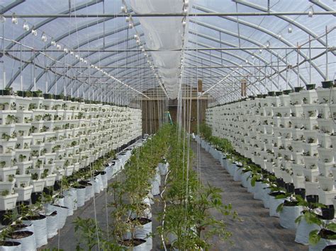 Hydroponics Store Near Me Open Now at Tracy Dibenedetto blog