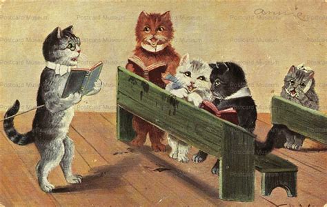 Школа кошек