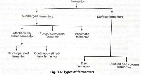 Types of fermenter - Biology Ease