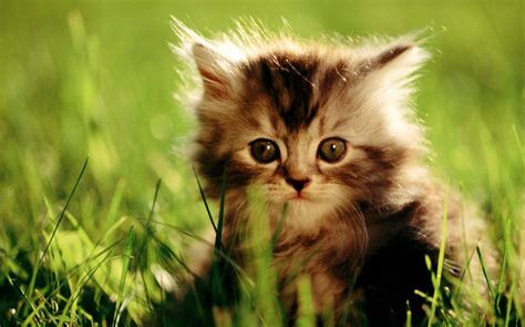 Прикольные обои | Возможно самое интересное и новое...