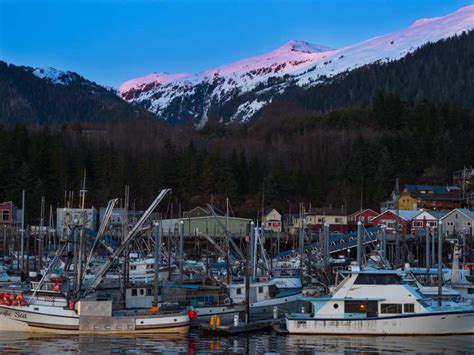 Best Alaska Tour Operators For Your Alaskan Adventure